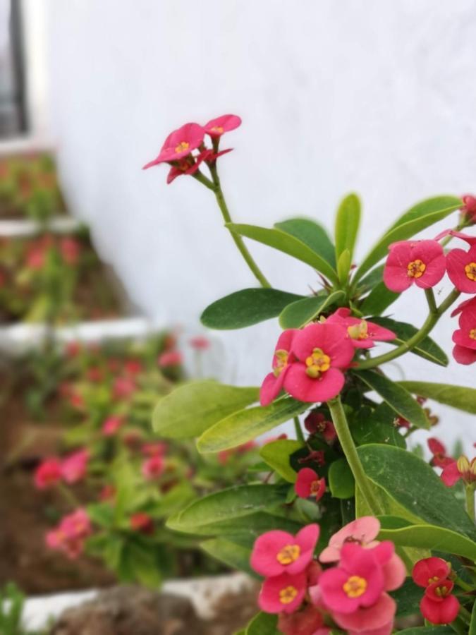 Casa Con Cuevita Сasa de vacaciones *